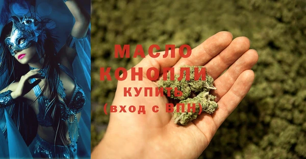 индика Саяногорск