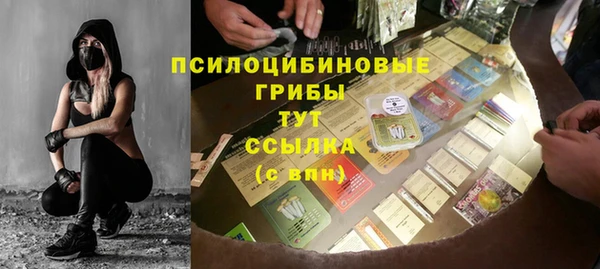 PSILOCYBIN Абинск