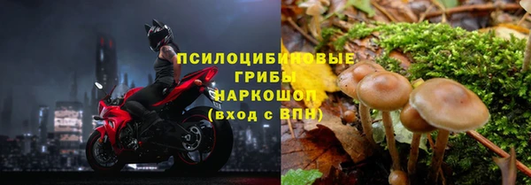 сатива Абдулино