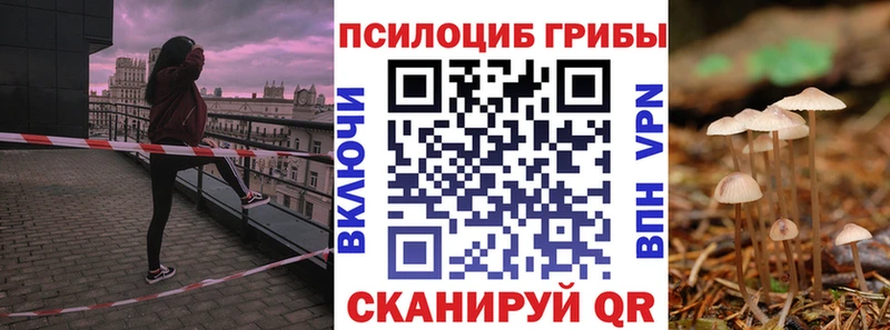 Псилоцибиновые грибы Psilocybine cubensis  как найти   Канск 