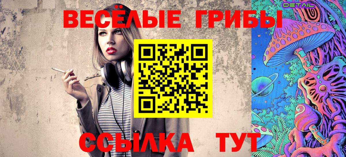 Псилоцибиновые грибы GOLDEN TEACHER  Вход с VPN  Канск 