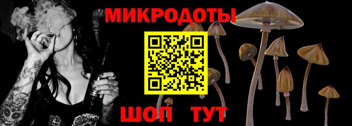 Галлюциногенные грибы мицелий Канск